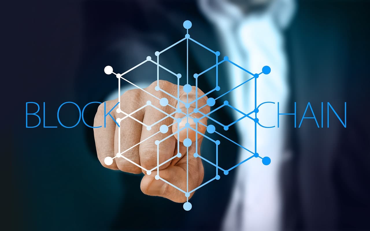 Blockchain Developer Profile